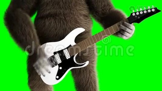 有趣的棕色大猩猩弹电吉他。 超级逼真的皮毛和头发。 绿屏4K动画..视频