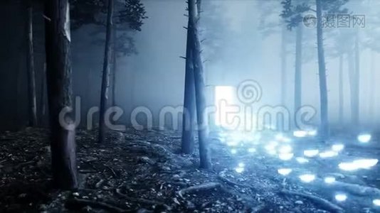 雾夜森林中发光的蝴蝶.. 打开入口门。 主义和魔法概念.. 现实的4k动画。视频