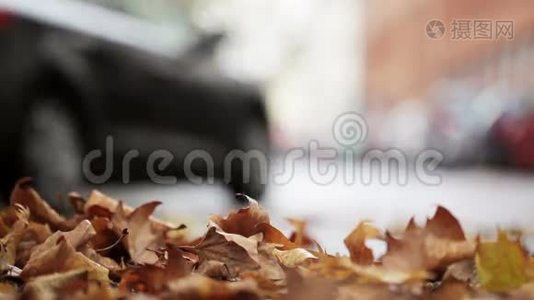 街道上的树叶-秋天的城市景象，背景中的交通和汽车视频