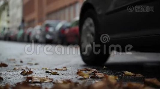 街道上的树叶-秋天的城市景象，背景中的交通和汽车视频