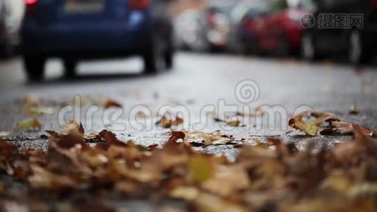 街道上的树叶-秋天的城市景象，背景中的交通和汽车视频