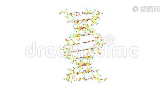 在白色上旋转DNA分子视频