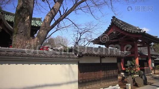 东京艾辛寺庙的传统寺庙视频