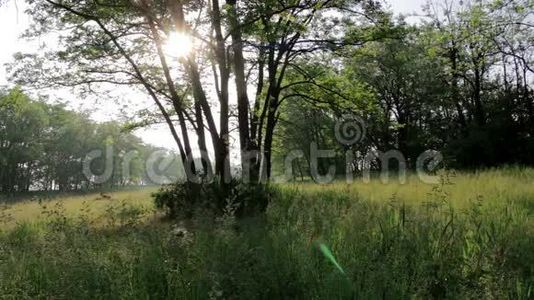 阳光下的乡村景观视频