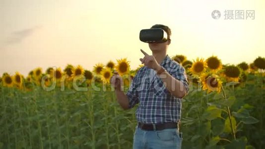 大自然中向日葵领域的现代技术视频