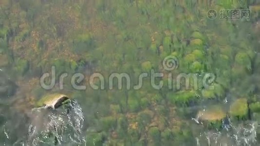 河流水流背景带藻类.视频