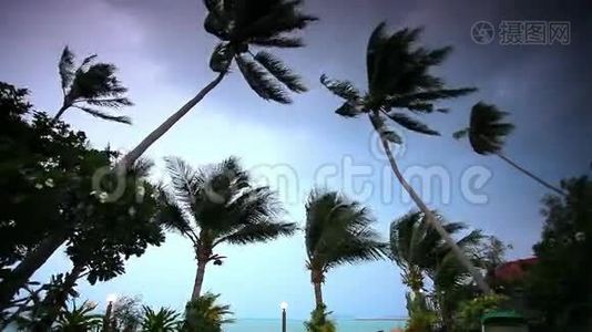 热带地区的雨季。 海洋海岸视频