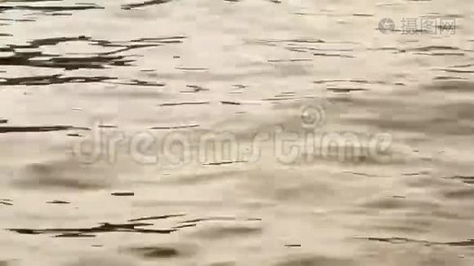 上奥地利格蒙登附近的特拉翁湖水边视频