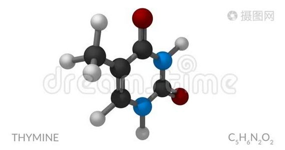 胸腺嘧啶分子，旋转无缝环，三维动画，4k30fps视频