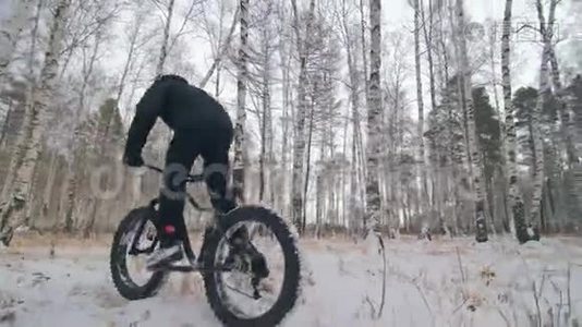 专业的极限运动员骑自行车在户外骑胖自行车。 骑自行车在冬天的雪林里。 男人是审判视频