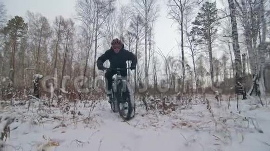 专业的极限运动员骑着一辆肥胖的自行车在户外。 骑自行车在冬天的雪林里。 人类视频
