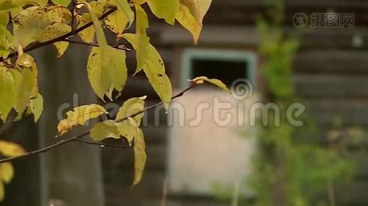 秋天的俄罗斯村庄视频