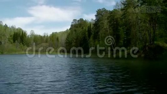 一个被森林包围的干净的湖。视频