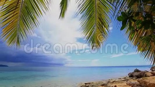 热带泻湖上的棕榈树和野生海滩视频