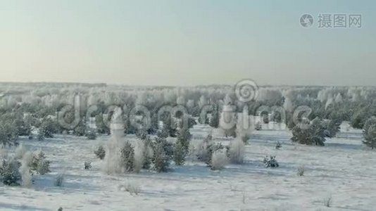 冬天，田野里覆盖着雪. 鸟瞰：冬季景观乡村，森林，田野.. 冬季视频