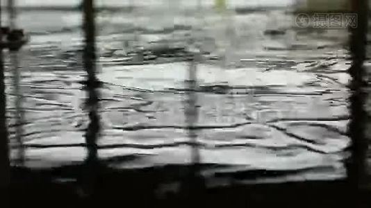 荡漾的水视频