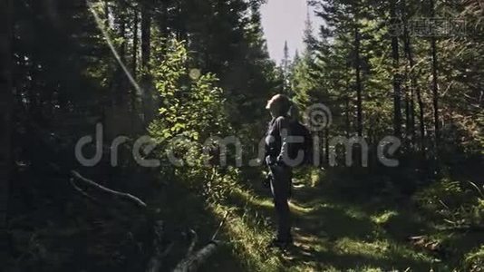 游客在森林中拍摄风景。 一个白种人的女人拍摄漂亮的魔术外观。 女孩拍照视频视频