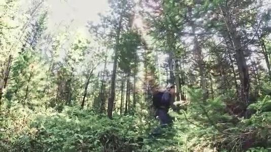 游客在森林中拍摄风景。 一个白种人的女人拍摄漂亮的魔术外观。 女孩拍照视频视频