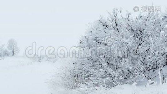 草冰雪冬天好冻.视频