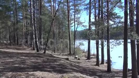 在春天的斯特雷什诺湖上休息视频