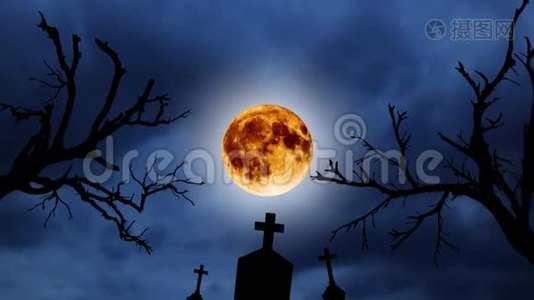 万圣节动画背景。 橙色月亮和橙色月亮背景下的古树和墓地剪影视频