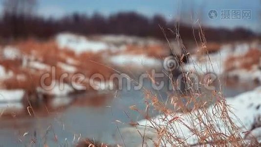 冬天的河流和干涸的草地视频