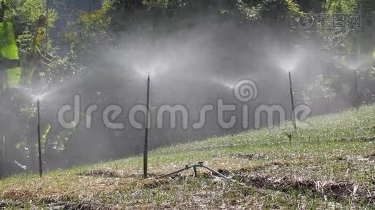 菜园灌溉喷头.视频