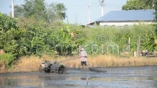 农民在稻田和稻田上使用拖拉机和拖车牵引视频