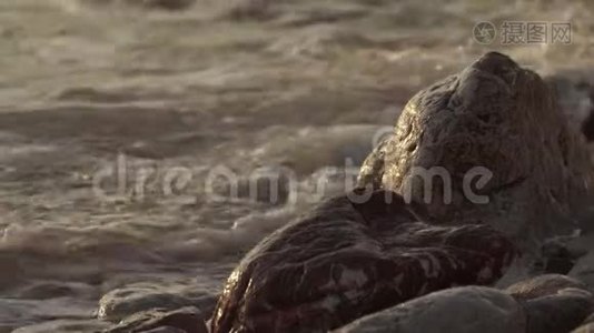 一个石质海岸的特写。 黑山，斯维蒂·斯特凡。视频