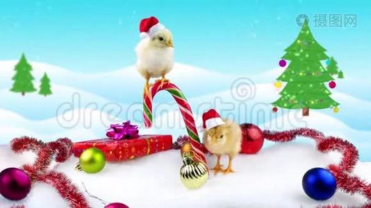 2017两只可爱的小公鸡，带文字的新年贺卡视频