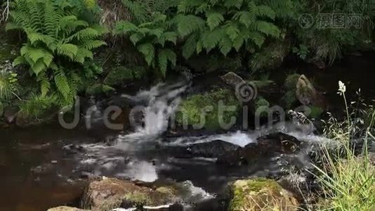 水流在岩石之间，发出真实的声音视频