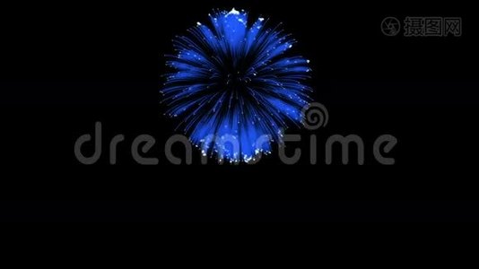 色彩斑斓的单根烟火在夜晚.. 壮观的单一烟花3D渲染。 蓝色版本41视频