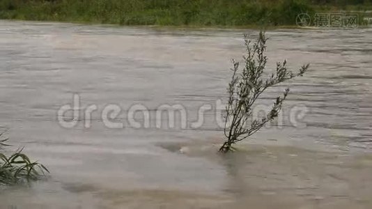 河堤决堤. 浑水视频