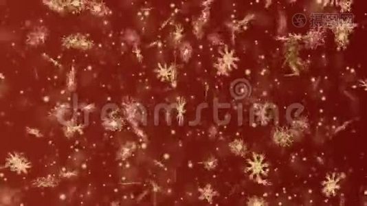 圣诞节和新年无缝循环动画。 圣诞金色雪花在暗红色背景上。 冬季仙境视频