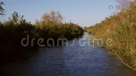 多瑙河三角洲湿地在运动视频