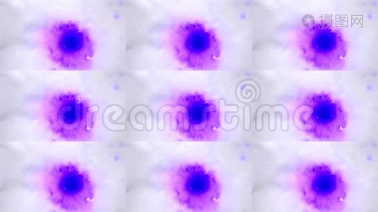 美丽的紫色墨水滴在白色湿滑表面。视频