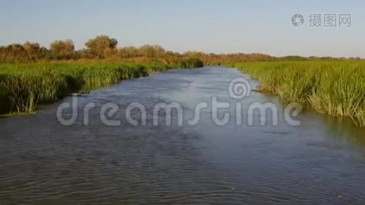 多瑙河三角洲湿地在运动视频