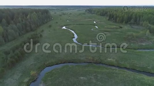 鸟瞰田野，河林早春..视频