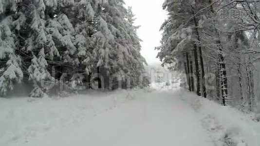 冬天的时候，空雪覆盖了山上的道路，两边都是树。视频