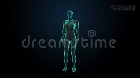 女性身体的脑部扫描。 X光透视。视频