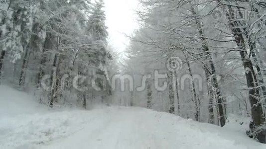 冬天的时候，空雪覆盖了山上的道路，两边都是树。视频