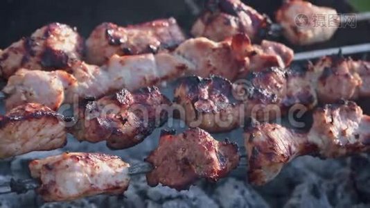 木炭烤架上有美味的烤肉视频