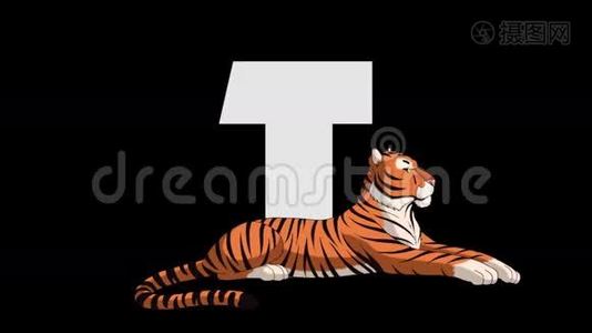 字母T和老虎（前景）视频