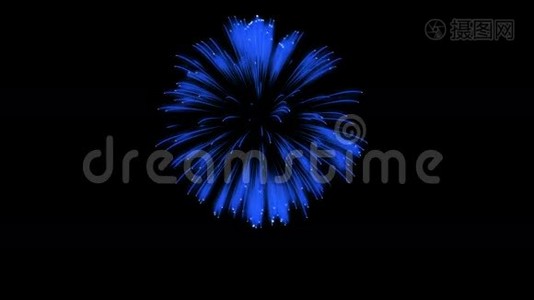 色彩斑斓的单根烟火在夜晚.. 壮观的单一烟花3D渲染。 蓝色版本35视频