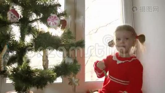 那个穿红色裙子的小女孩用姜饼装饰圣诞树。视频