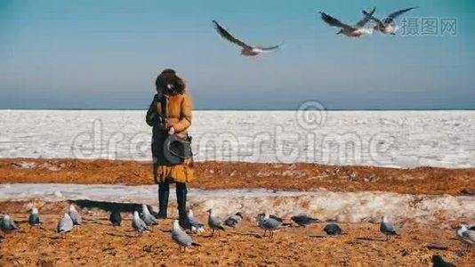 女人为饥饿的海鸥飞翔在冰封的海面上。 慢动作视频