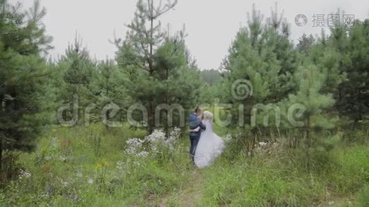 非常漂亮的新娘和新郎在森林里牵手拥抱。视频