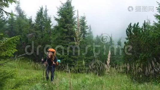 女孩徒步旅行者在森林里散步视频
