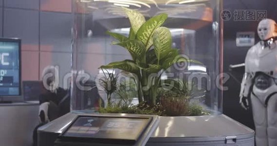 科学家在植物培养箱工作视频