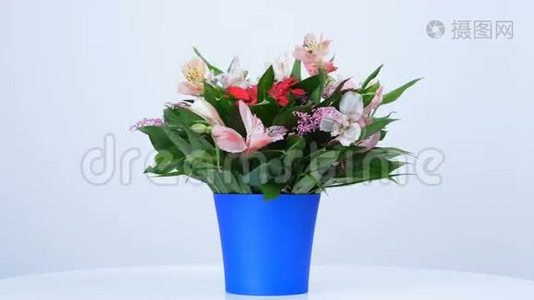 花，花束，白色背景上的旋转，花的组成包括Russus，Alstroemeria，Gerbera，Solidago视频